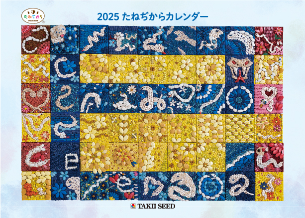 2024
